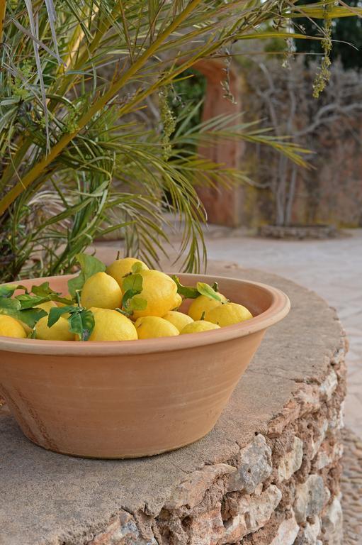 Agroturismo Sa Pletassa Felanitx Εξωτερικό φωτογραφία